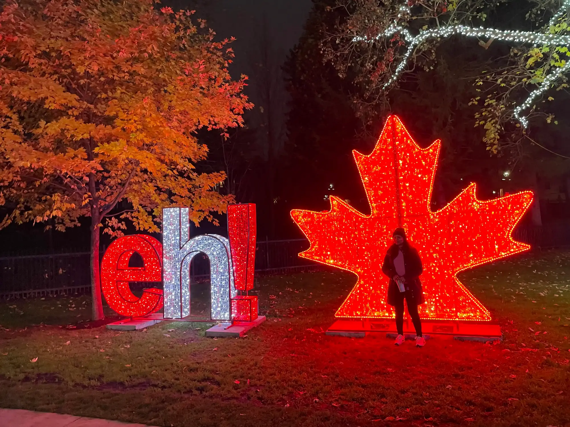 Illuminated red maple leaf and eh display creating a Canada Day photo opportunity for municipal events and community celebrations.